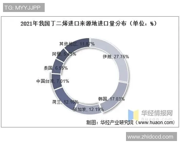 武汉排球队的整体压制革新探索与发展之路全景分析